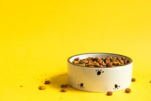 pet food in a bowl